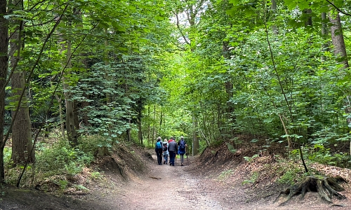 Geführte Wanderungen NRW