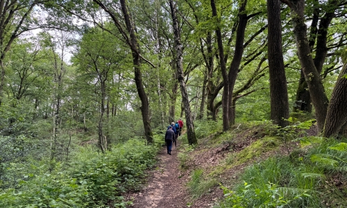 Geführte Wanderungen NRW