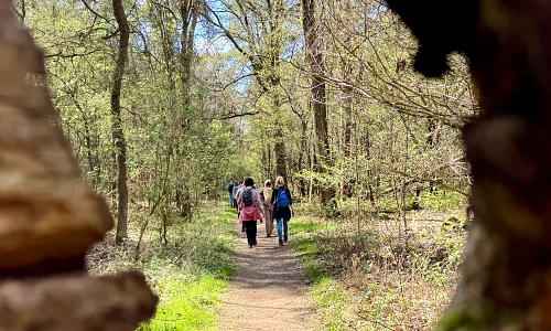 Geführte Wanderungen NRW