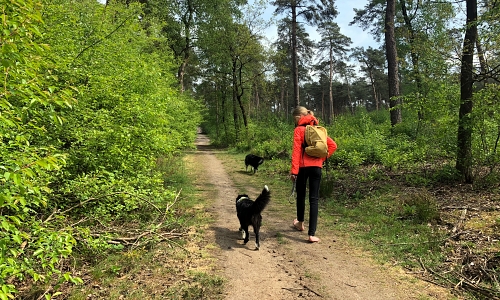 Geführte Wanderungen NRW